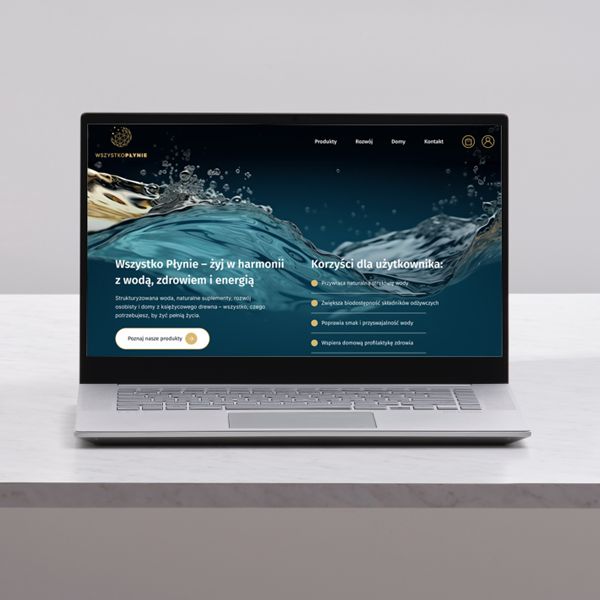 Wszytko Płynie laptop